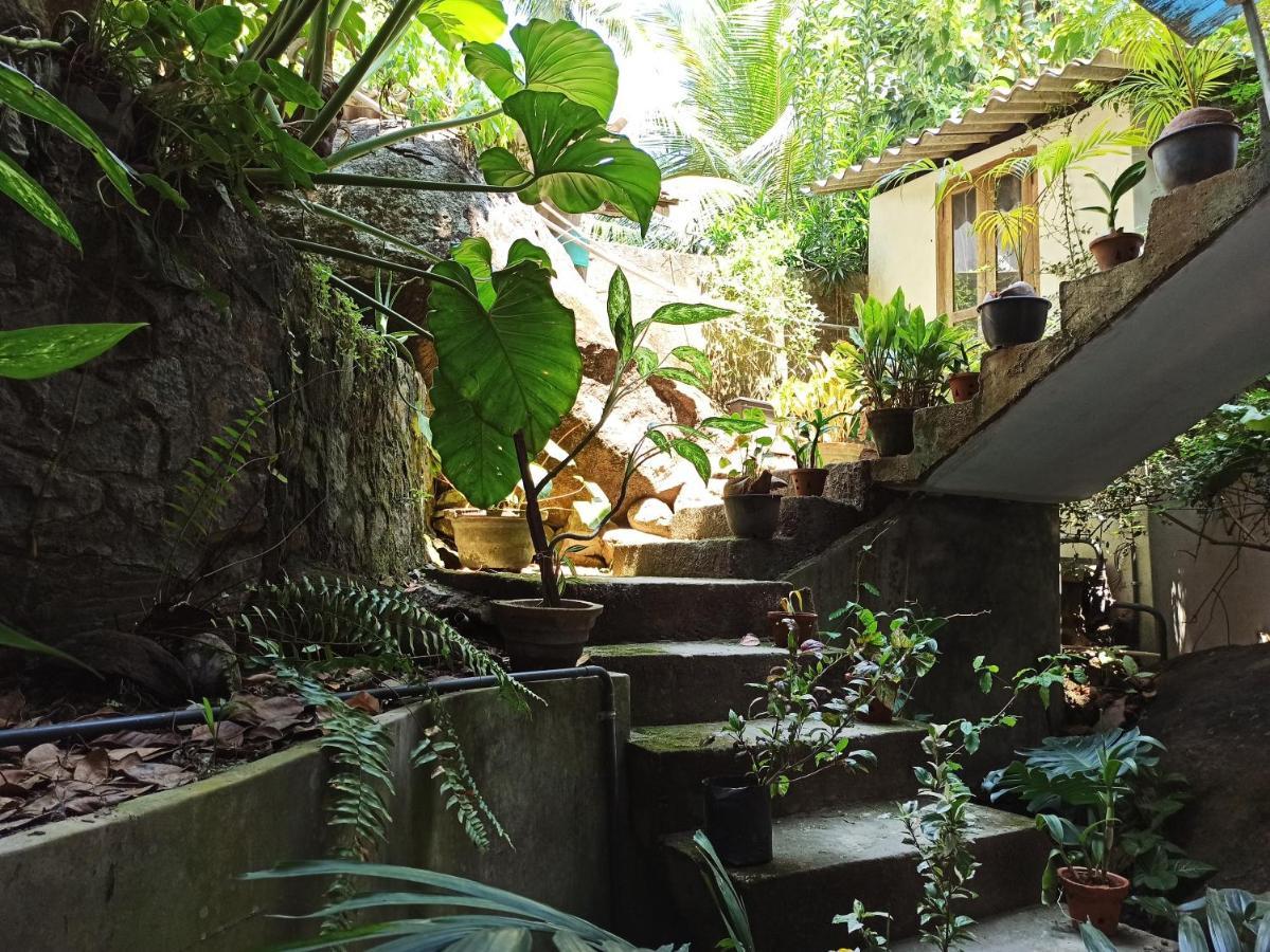 Butterfly Jewel Bed & Breakfast Unawatuna Dış mekan fotoğraf