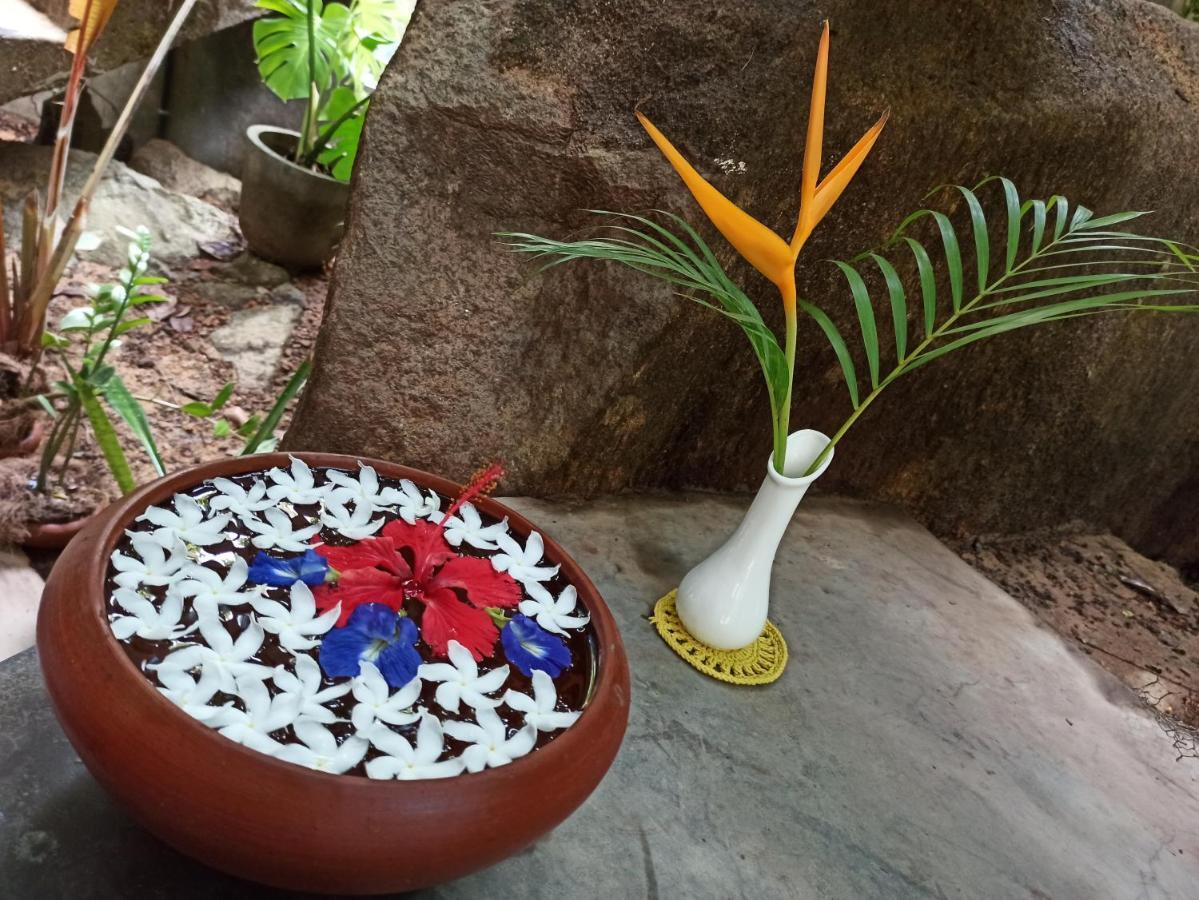 Butterfly Jewel Bed & Breakfast Unawatuna Dış mekan fotoğraf